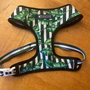 Frenchie Duo Reversible Harness - Cabana Green - XL and coordinating leash.